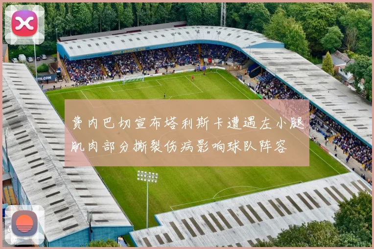 费内巴切宣布塔利斯卡遭遇左小腿肌肉部分撕裂伤病影响球队阵容