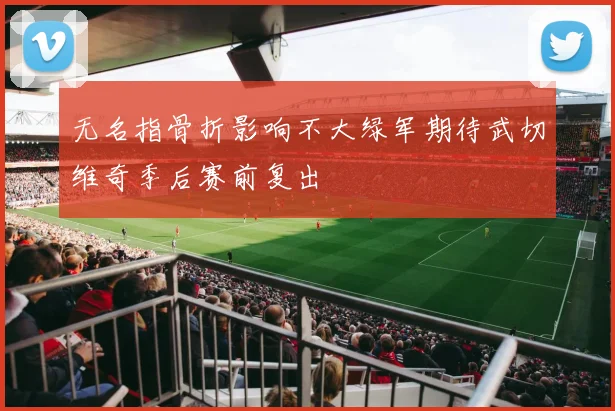 无名指骨折影响不大绿军期待武切维奇季后赛前复出